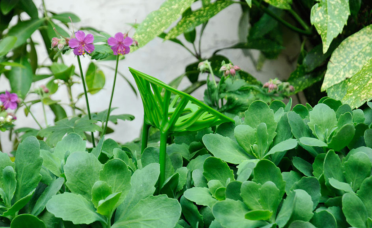 开云（中国） - 坐具|餐椅|办公家具|设计师家具|植物餐椅